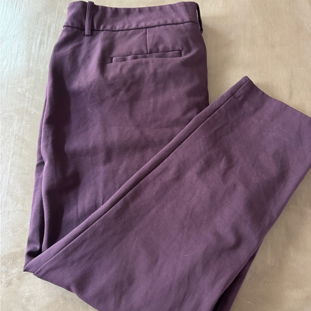 Liz Claiborne Pants in Plum